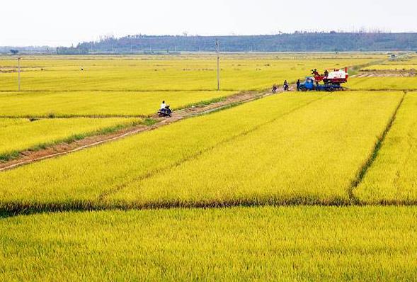 一亩地等于多少平方米？土地单位换算技巧！