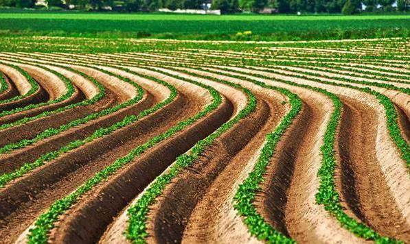 一亩地等于多少平方米？土地单位换算技巧！