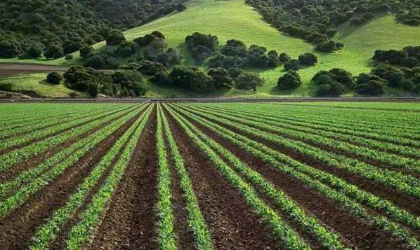 一亩地等于多少平方米？土地单位换算技巧！