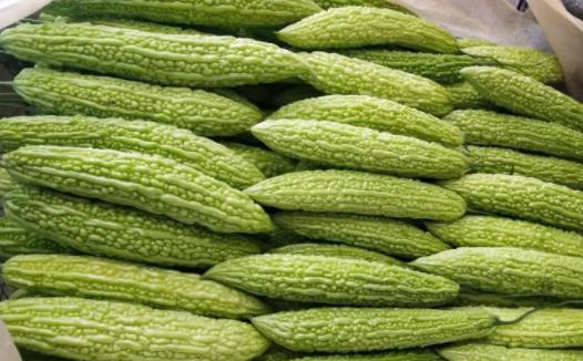 苦瓜泡水能降血糖吗？苦瓜有减肥作用吗？