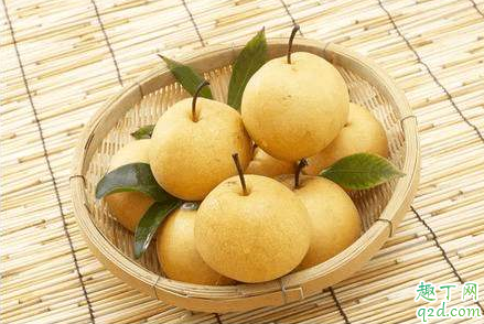 为什么老人说惊蛰要吃梨 惊蛰吃梨有什么好处