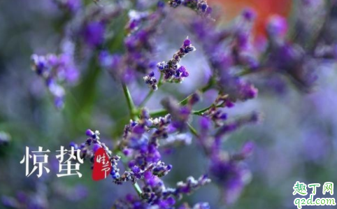 为什么老人说惊蛰要吃梨 惊蛰吃梨有什么好处