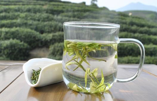 绿茶与红茶有什么区别？绿茶与红茶哪个更健康？