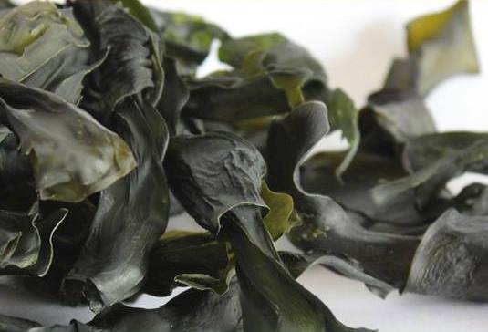 海带为什么打结成海带扣（有什么作用）海带的营养价值及食用功效