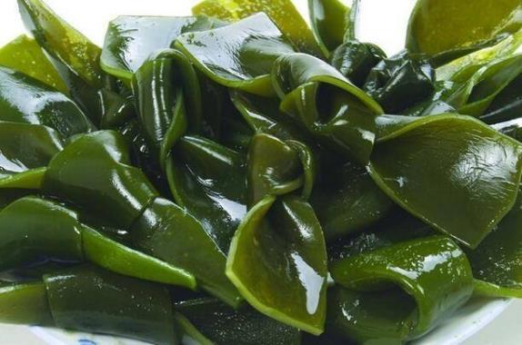 海带为什么打结成海带扣（有什么作用）海带的营养价值及食用功效