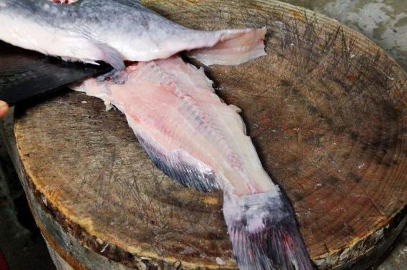 吃鱼的禁忌，这些部位要少吃！