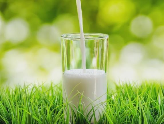 夏季饮食注意事项 夏季饮食7大禁忌