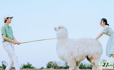 闺蜜结婚送1314元好吗 闺蜜结婚随礼几千合适