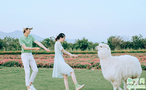 闺蜜结婚送1314元好吗 闺蜜结婚随礼几千合适