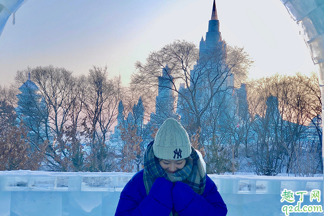 奈何boss要娶我2贾菲和谁是一对 贾菲结局是怎样的