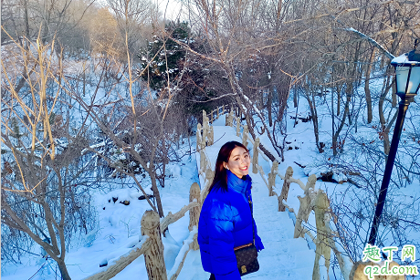 奈何boss要娶我2闻立喜欢贾菲吗 贾菲和闻立第几集在一起