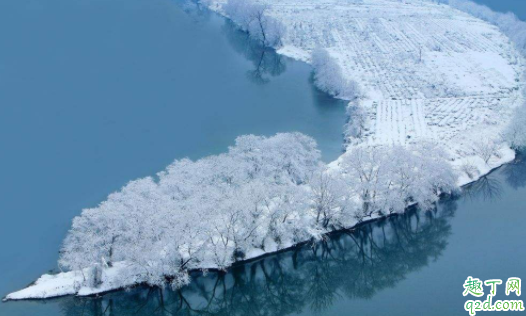 2021年什么时候进九天 2021数九天时间表