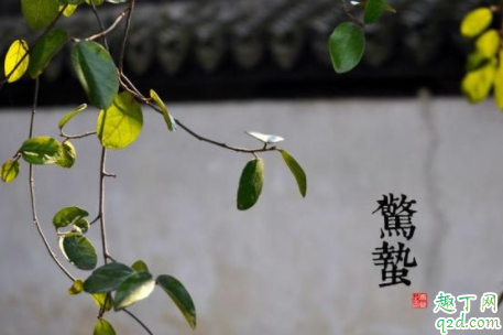 惊蛰刮北风不好吗 惊蛰刮北风代表什么