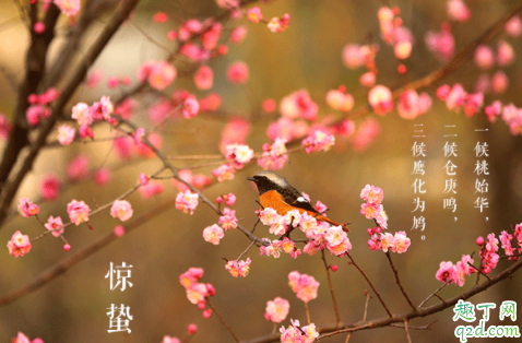 惊蛰刮北风不好吗 惊蛰刮北风代表什么
