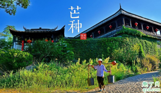 芒种是什么时间2020 2020芒种第九天是什么时候