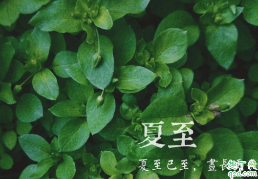 2020年夏至时间几点几分 2020夏至还有几天