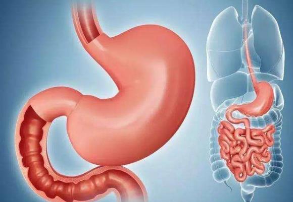 胃病都是“作出来”的！这些伤胃坏习惯，你还不改吗？