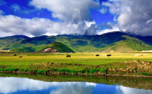 西南五省是指哪五省？西南地区的历史文化有哪些？