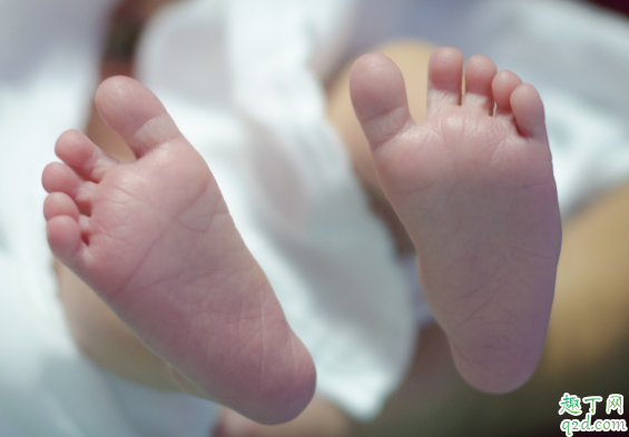 空腹做nt会不会有影响 做nt前能吃东西吗