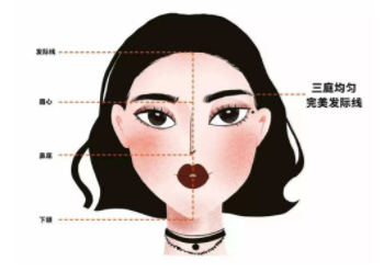 发际线高会秃顶吗 发际线高的人有什么烦恼