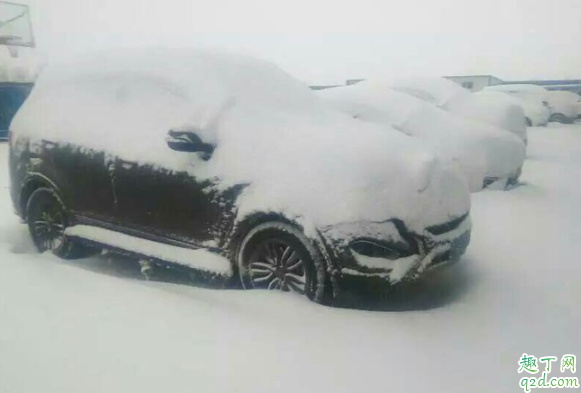 下雪可以盖车衣吗 夏天盖车衣会不会更热