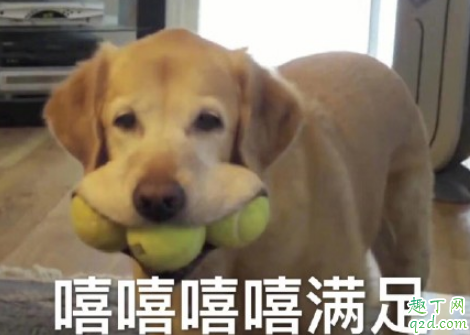 女孩说tql什么意思 tql什么梗网络用语