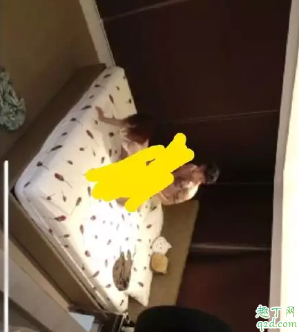 柳州健身女教练视频哪里有 柳州健身女教练和会员事件经过