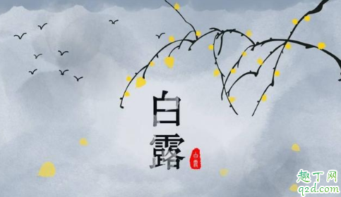 处暑十八盆白露勿露身有什么说法 处暑十八盆白露勿露身的原因