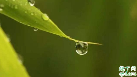 处暑十八盆白露勿露身有什么说法 处暑十八盆白露勿露身的原因