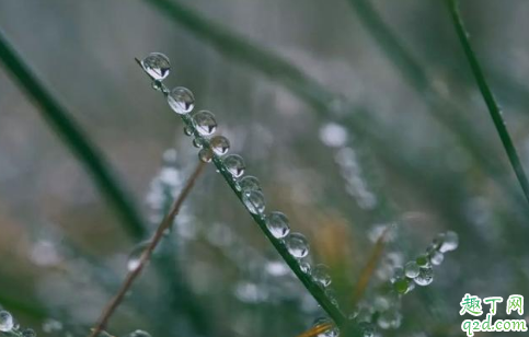 处暑十八盆白露勿露身有什么说法 处暑十八盆白露勿露身的原因