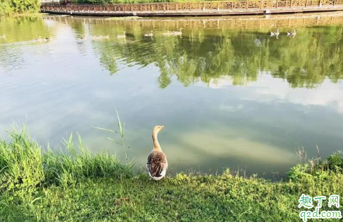 处暑十八盆白露勿露身有什么说法 处暑十八盆白露勿露身的原因