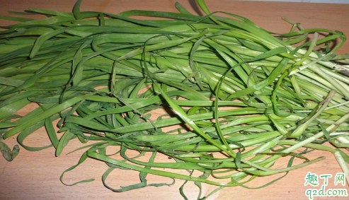 新蒜能长出蒜苗吗 蒜苗怎么才能旺长