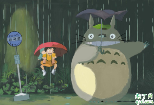 龙猫属于鼠类吗 龙猫寿命最长是多少年