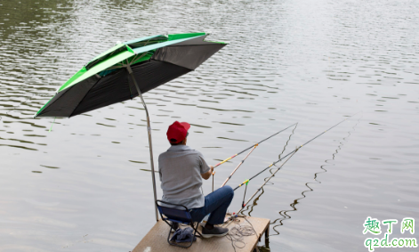 怎样靠钓鱼赚钱 渔具店进货渠道一览2020