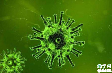 腹泻是新型冠状病毒吗 拉肚子是肺炎症状吗