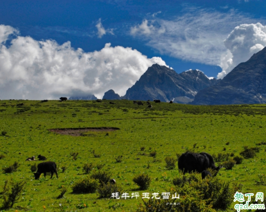 玉龙雪山什么时候去有雪 玉龙雪山哪些景点好玩
