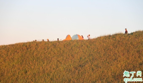 武功山帐篷是山下租好还是山上租好 武功山帐篷自己带还是租