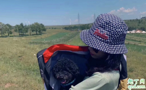 gucci和mlb联名渔夫帽哪个色好看 mlb新款印花买蓝色还是黑色