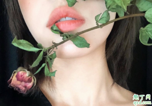 rose下载地址邀请码分享 rose软件免费卡密怎么获取