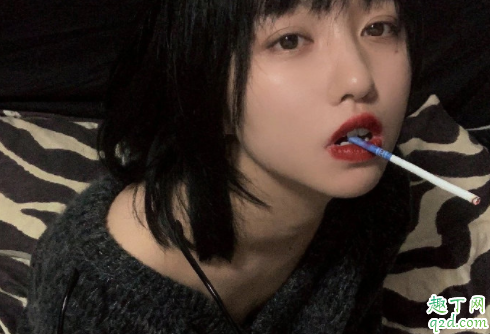 moon直播破解版怎么下 moon直播密码续费免费分享