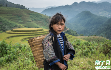 社会扶贫APP注册后空白怎么回事 社会扶贫APP搜索空白怎么办