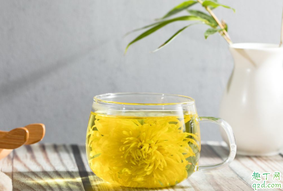 临产能喝菊花水吗 孕期火气大喝菊花水好吗