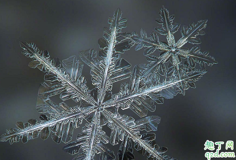 纨绔世子妃何时播出在哪看 纨绔世子妃具体更新时间