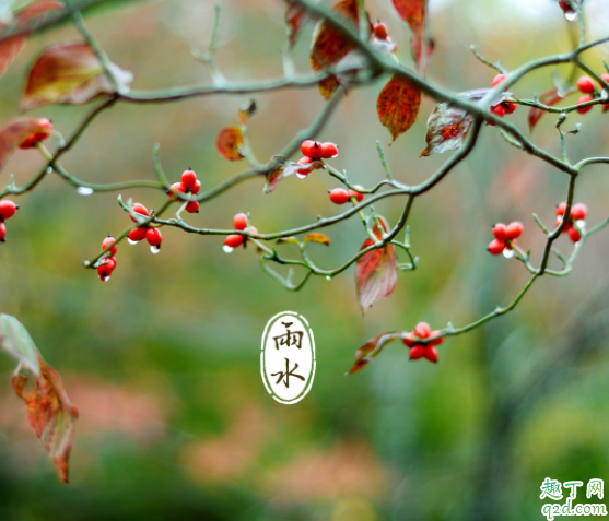 2020年哪天是雨水节气 2020的节气对应的日期