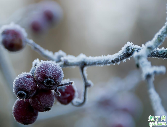 2020年哪天是雨水节气 2020的节气对应的日期