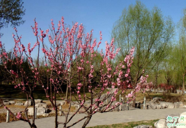 2020年的春分农历多少 2020年春分能结婚吗