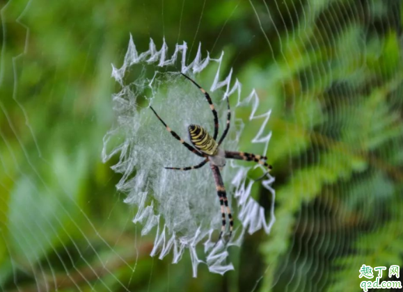 惊蛰雷在什么时候打 惊蛰打雷下雨好吗
