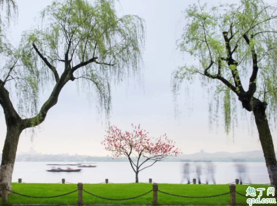 惊蛰雷在什么时候打 惊蛰打雷下雨好吗