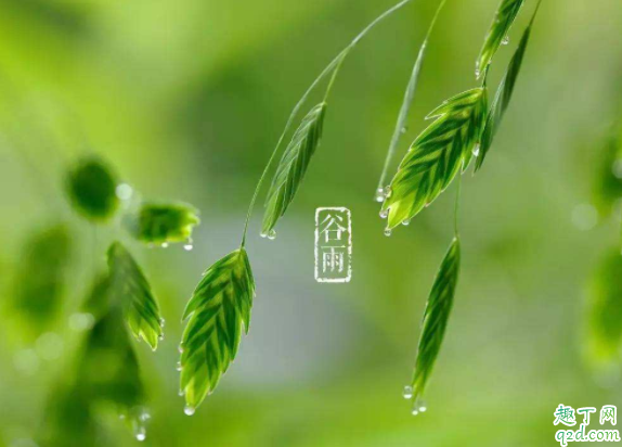 谷雨为何祭仓颉 谷雨祭祀谁