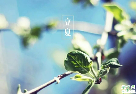 2020什么时间立夏 2020立夏有什么传统风俗